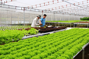 15 sản phẩm vào chung kết cuộc thi “Sáng tạo trong tầm tay”