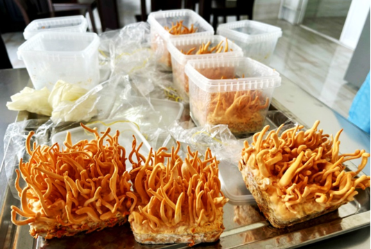 AN GIANG TRIỂN KHAI THỰC HIỆN NGHỊ QUYẾT SỐ 03/NQ-CP CỦA CHÍNH PHỦ VỀ THỰC HIỆN NGHỊ QUYẾT SỐ 57-NQ/TW NGÀY 22/12/2024 CỦA BỘ CHÍNH TRỊ VỀ ĐỘT PHÁ PHÁT TRIỂN KHOA HỌC, CÔNG NGHỆ, ĐỔI MỚI SÁNG TẠO VÀ CHUYỂN ĐỔI SỐ QUỐC GIA