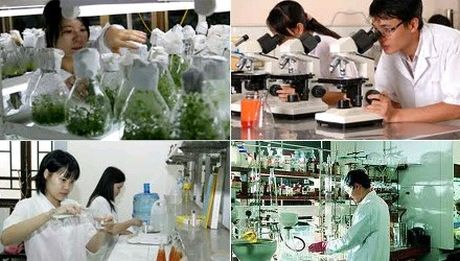 BẢN TIN KHOA HỌC, CÔNG NGHỆ VÀ ĐỔI MỚI SÁNG TẠO số 3.2019