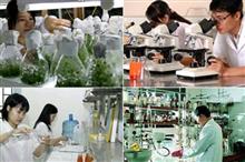 Căn cứ xác định máy móc, thiết bị có tuổi vượt quá 10 năm không thuộc công nghệ lạc hậu