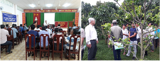 Tập huấn kỹ thuật trồng xoài Ba Màu theo tiêu chuẩn VietGAP Tại xã Lê Trì, huyện Tri Tôn
