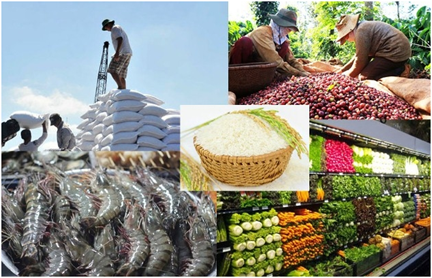 Kiểm soát chặt chẽ các mối nguy gây mất an toàn thực phẩm