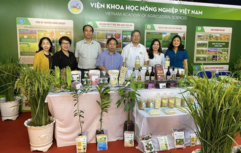 Cơ giới hóa đồng bộ hướng tới nền nông nghiệp bền vững