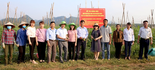Sử dụng men vi sinh HLC tạo chế phẩm phân hữu cơ từ nguồn cá tạp