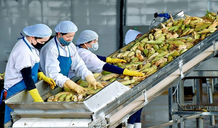 Các công cụ năng suất phổ biến và hiệu quả