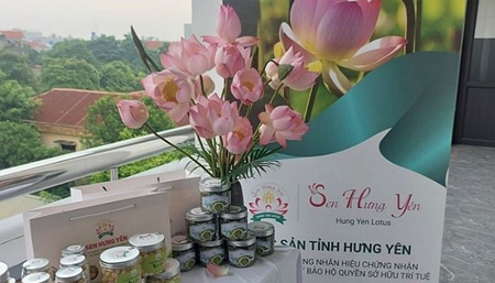 Cấp chứng nhận đăng ký nhãn hiệu cho sản phẩm “Sen Hưng Yên”