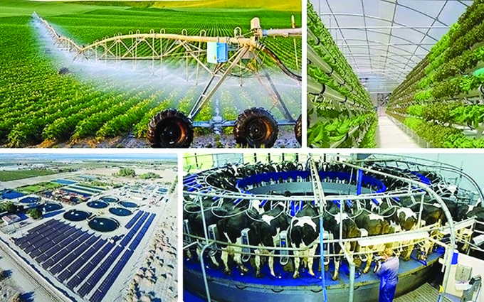 Nghị định hướng dẫn Luật Sở hữu trí tuệ sửa đổi: Đơn giản hóa thủ tục hành chính, tạo thuận lợi cho các tổ chức, cá nhân và doanh nghiệp