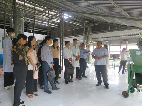 Hoàn thiện công nghệ chiết xuất dầu mù u