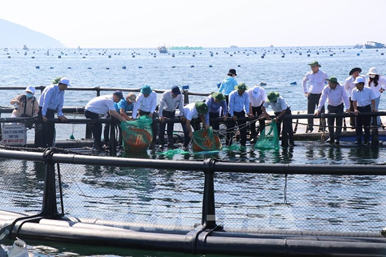 Sản xuất lồng nuôi cá bằng nhựa HDPE