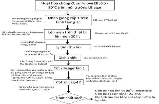 Tuyển chọn hoạt chất ứng dụng trong điều trị bệnh đái tháo đường type II