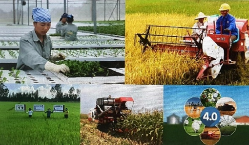 Đổi mới sáng tạo trong lĩnh vực nông nghiệp còn nhiều khó khăn