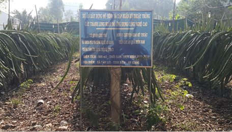 Nghiệm thu dự án “Xây dựng mô hình và tập huấn kỹ thuật trồng cây thanh long ruột đỏ ứng dụng công nghệ cao tại 02 huyện Tri Tôn và Tịnh Biên tỉnh An Giang”