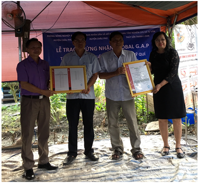 Tổ hội nghề nghiệp sản xuất cá lóc giống Mỹ Quý xã Mỹ Phú huyện Châu Phú đạt chuẩn GlobalGAP đầu tiên tại Việt Nam