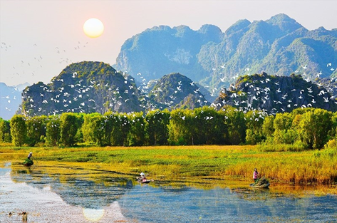 Đẩy mạnh các chương trình nghiên cứu KH&CN bảo tồn đa dạng sinh học và bảo vệ các loài hoang dã