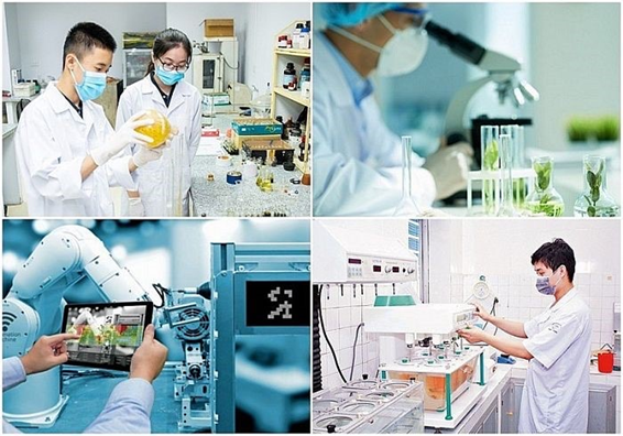 Mô hình S.T.I.D: Con đường để Việt Nam phát triển một xã hội số hiện đại và bền vững