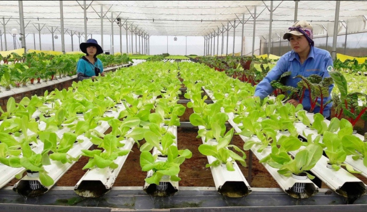 Triển khai nghiêm túc việc miễn, giảm tiền sử dụng đất, tiền thuê đất