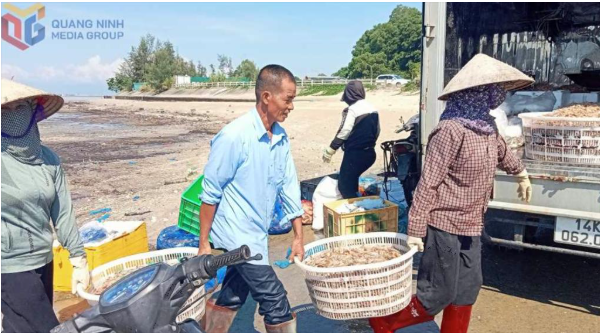 Chuyển dịch từ khai thác sang nuôi biển
