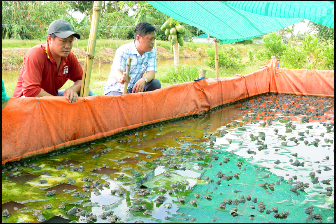 Đồng hành cùng nông dân