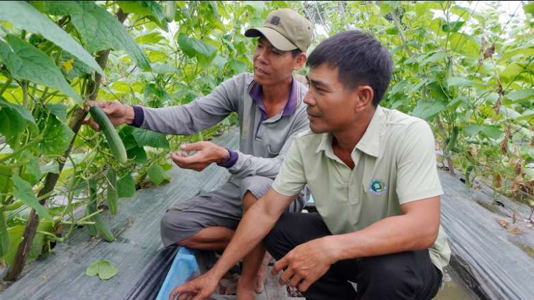 Giồng Riềng khởi sắc từ phong trào nông dân