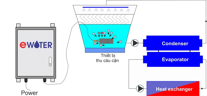 ewater thiet bi xu ly cau can va rong reu cho chiller va thap giai nhiet