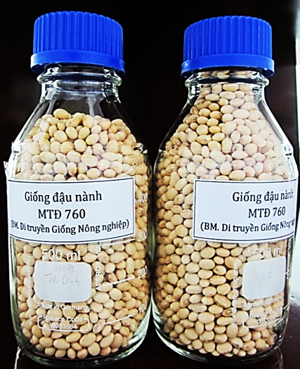 giong dau nanh mtd 760