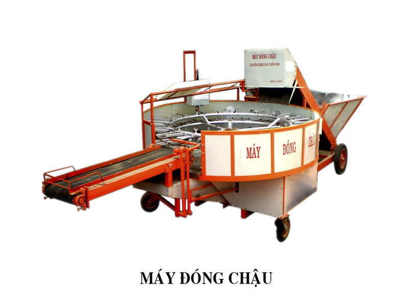 may dong chau
