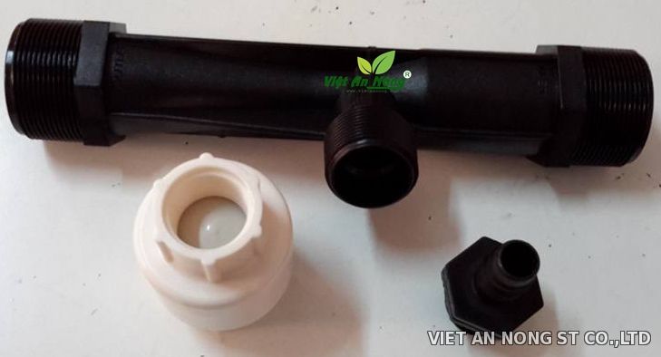 bọ cham phan phi 60 dày dủ